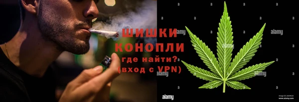 ПСИЛОЦИБИНОВЫЕ ГРИБЫ Алзамай